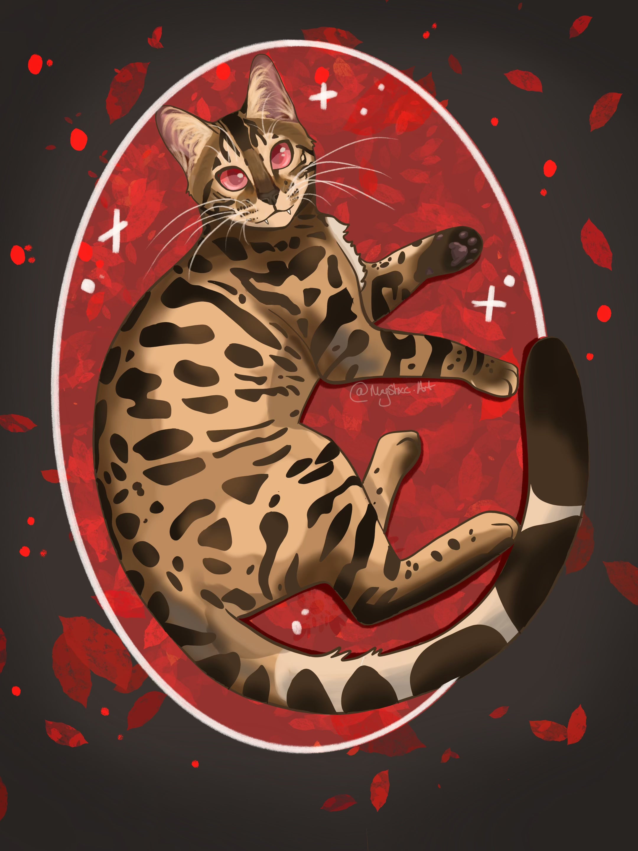 Rubra Felis