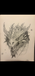 Pencil dragon drawing
