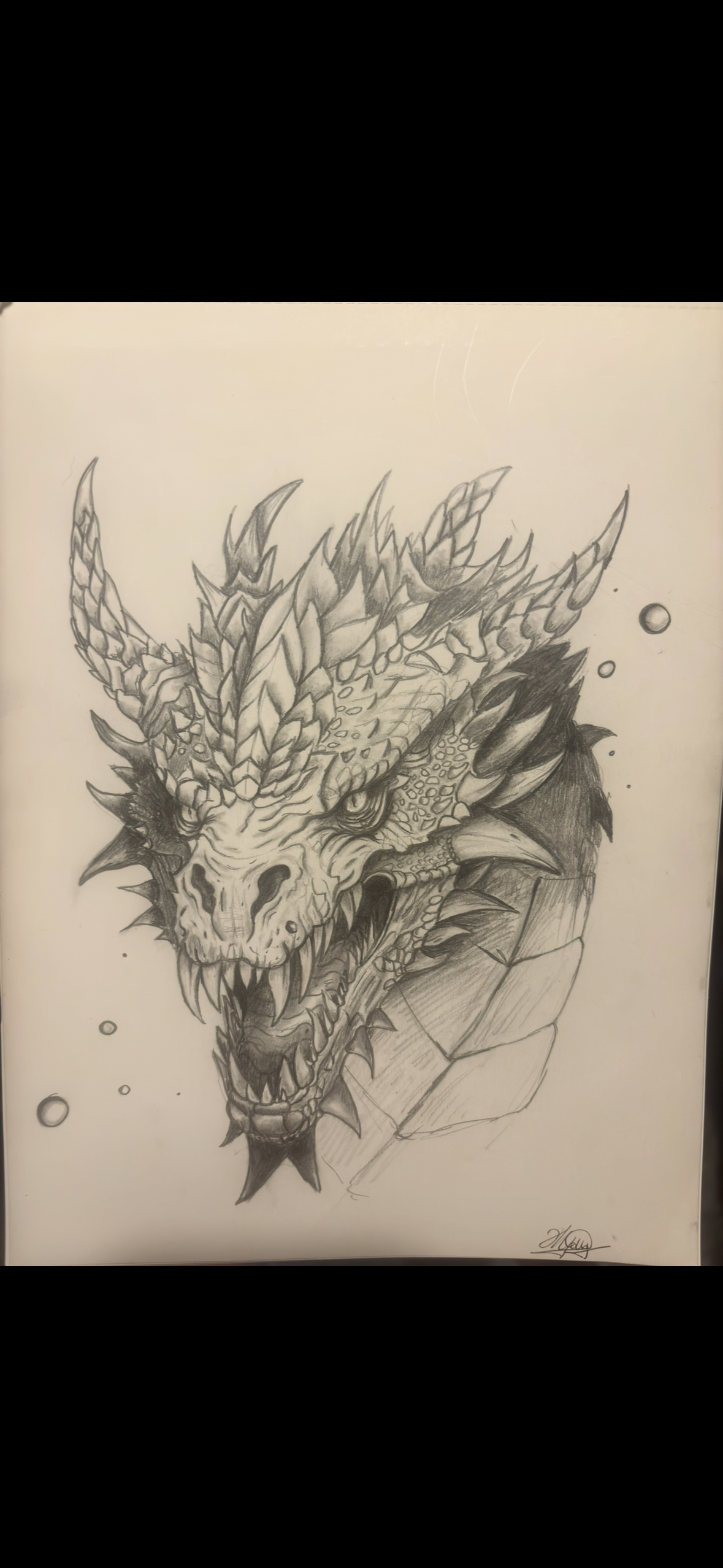 Pencil dragon drawing